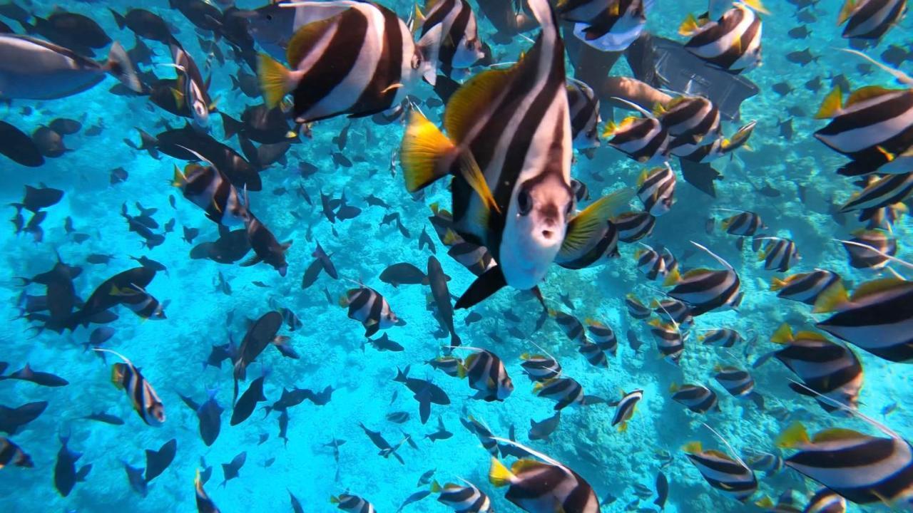 Infinity Dhiffushi Ξενοδοχείο Εξωτερικό φωτογραφία